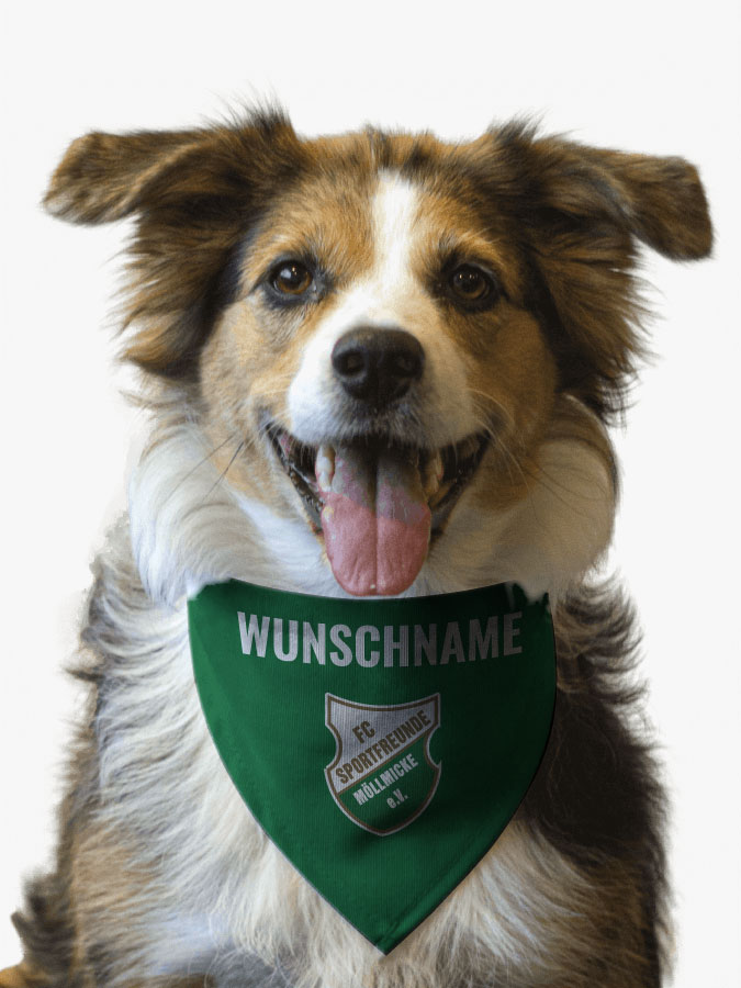 FCM-Fanshop: Accessoires